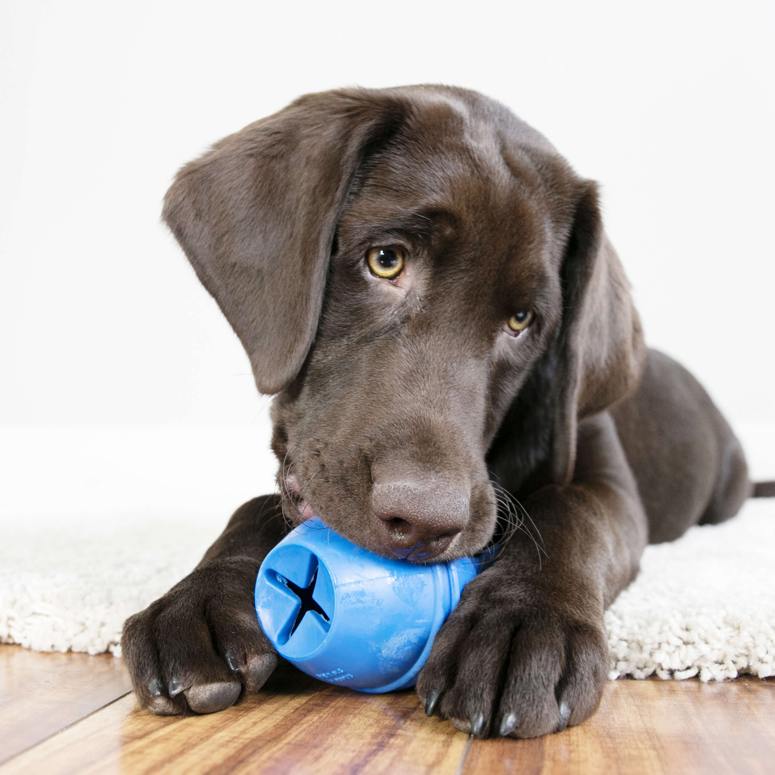 KONG - Genius Dog Treat Dispensing Toy